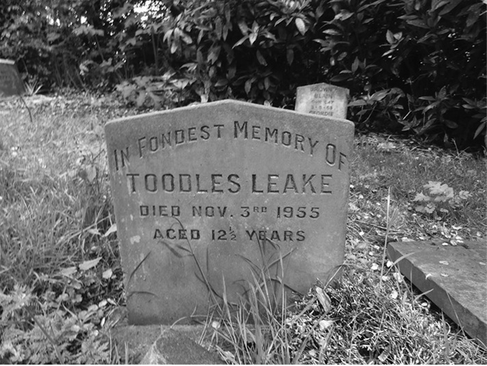 Иллюстрация к книге — Смерть, ритуал и вера. Риторика погребальных обрядов [i_009.jpg]