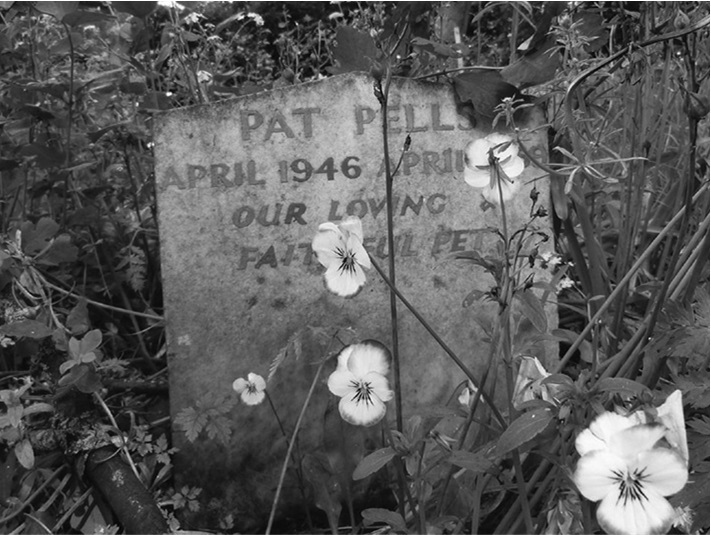 Иллюстрация к книге — Смерть, ритуал и вера. Риторика погребальных обрядов [i_010.jpg]