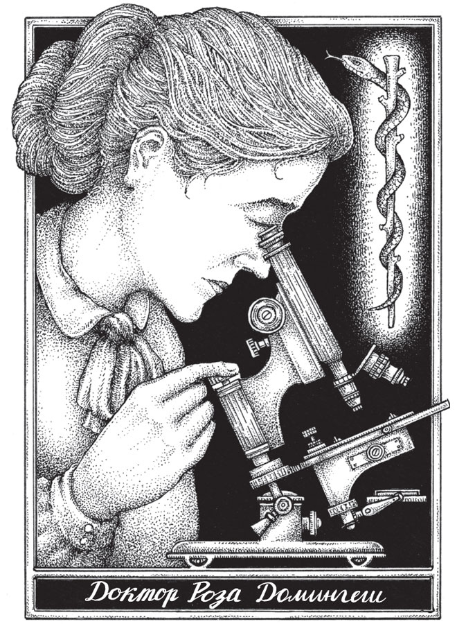 Иллюстрация к книге — Новые странствия Салли Джонс [i_005.jpg]