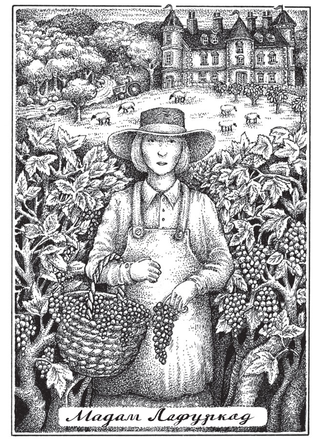 Иллюстрация к книге — Новые странствия Салли Джонс [i_019.jpg]