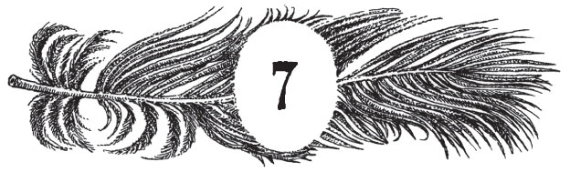 Иллюстрация к книге — Новые странствия Салли Джонс [i_028.jpg]