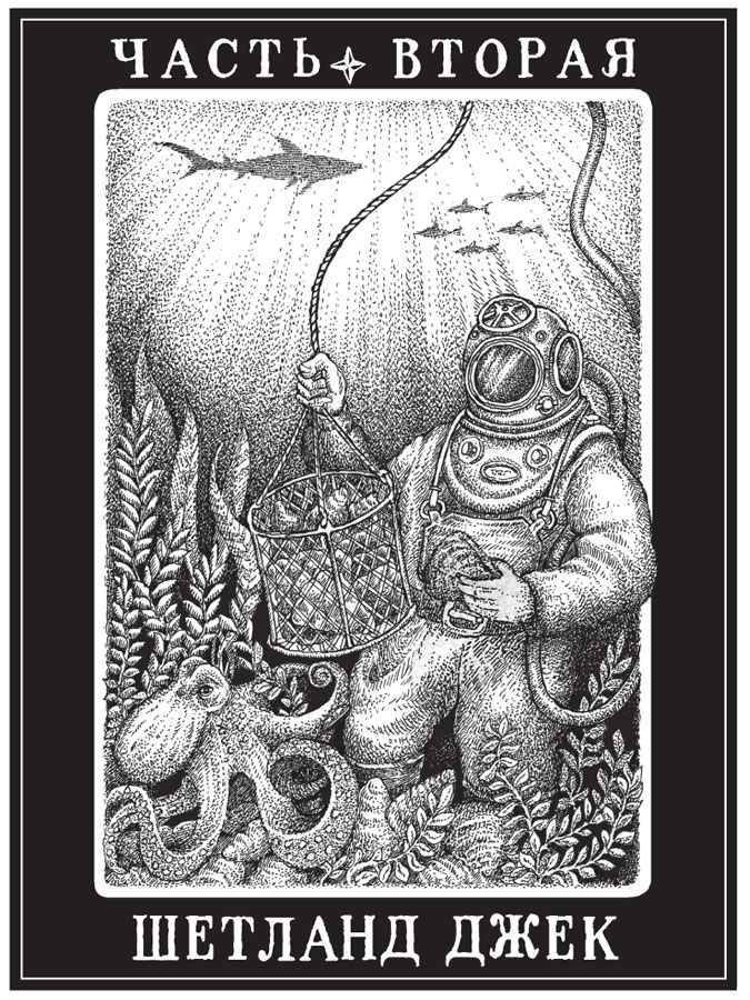 Иллюстрация к книге — Новые странствия Салли Джонс [i_035.jpg]