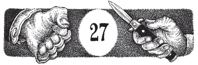 Иллюстрация к книге — Новые странствия Салли Джонс [i_050.jpg]