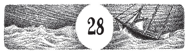 Иллюстрация к книге — Новые странствия Салли Джонс [i_051.jpg]