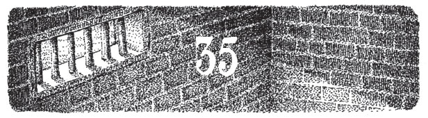 Иллюстрация к книге — Новые странствия Салли Джонс [i_058.jpg]