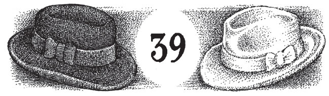 Иллюстрация к книге — Новые странствия Салли Джонс [i_062.jpg]