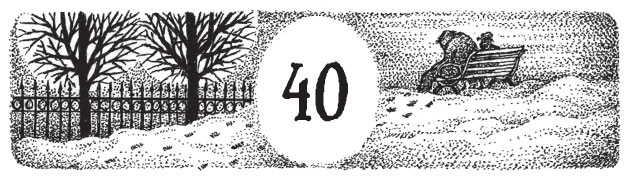 Иллюстрация к книге — Новые странствия Салли Джонс [i_063.jpg]