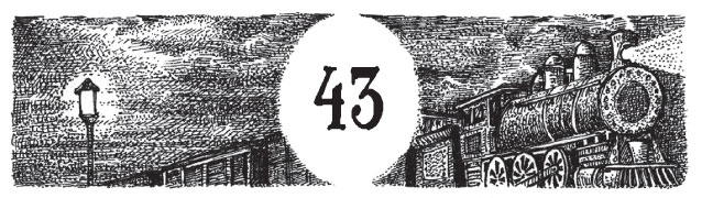 Иллюстрация к книге — Новые странствия Салли Джонс [i_067.jpg]