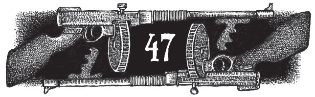 Иллюстрация к книге — Новые странствия Салли Джонс [i_071.jpg]