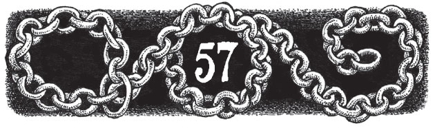 Иллюстрация к книге — Новые странствия Салли Джонс [i_081.jpg]