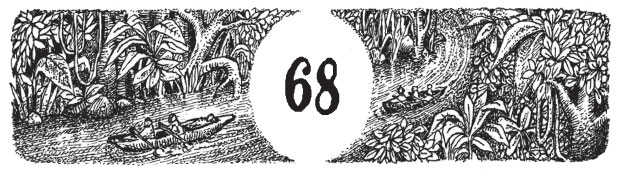 Иллюстрация к книге — Новые странствия Салли Джонс [i_093.jpg]