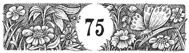 Иллюстрация к книге — Новые странствия Салли Джонс [i_100.jpg]