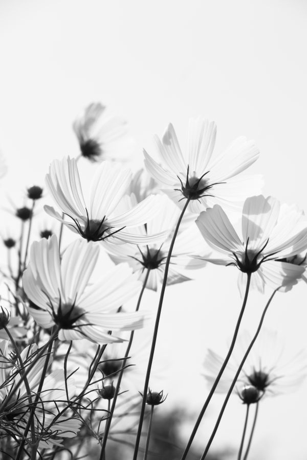 Иллюстрация к книге — Девочка со шрамами. Истории, которые помогают жить [i_001.jpg]