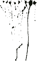 Иллюстрация к книге — Порча [i_001.jpg]