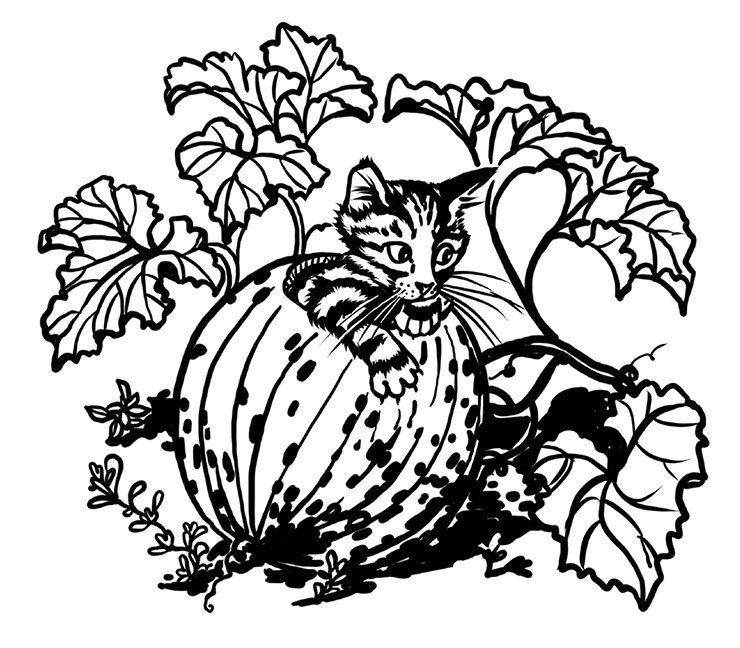 Иллюстрация к книге — Тысяча и одно мяу. Удивительные кошачьи истории о людях, любви, верности и потерях [i_005.jpg]