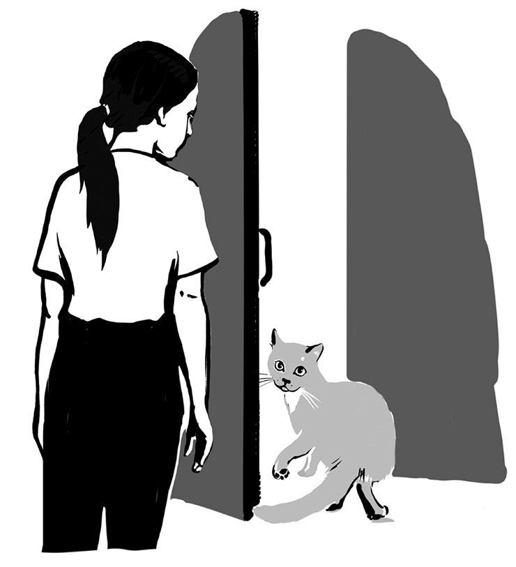 Иллюстрация к книге — Тысяча и одно мяу. Удивительные кошачьи истории о людях, любви, верности и потерях [i_019.jpg]