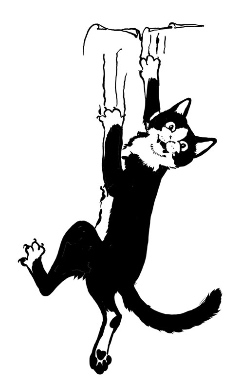 Иллюстрация к книге — Тысяча и одно мяу. Удивительные кошачьи истории о людях, любви, верности и потерях [i_024.jpg]