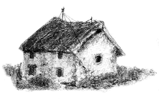 Иллюстрация к книге — Фунгус [i_002.jpg]