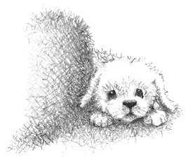 Иллюстрация к книге — Щенок Асти, или Послушай, как я читаю [i_002.jpg]