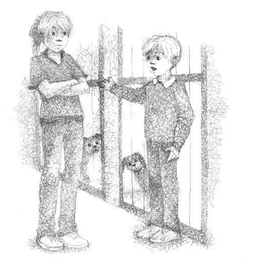 Иллюстрация к книге — Щенок Асти, или Послушай, как я читаю [i_014.jpg]