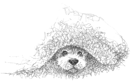 Иллюстрация к книге — Щенок Асти, или Послушай, как я читаю [i_016.jpg]