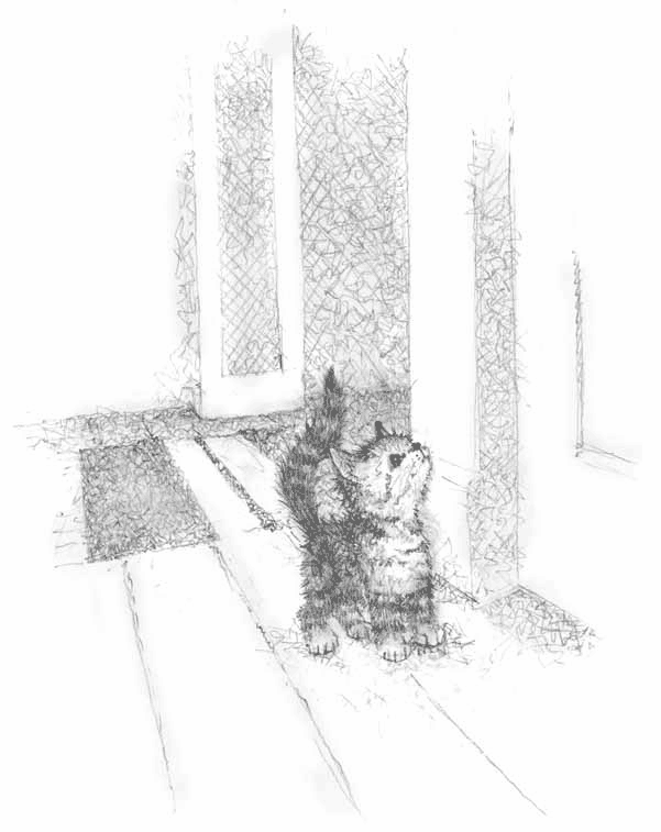 Иллюстрация к книге — Котёнок Тучка, или Пушистое приключение [i_032.jpg]