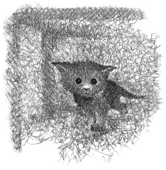 Иллюстрация к книге — Котёнок Клякса, или Загадка привидения [i_009.jpg]