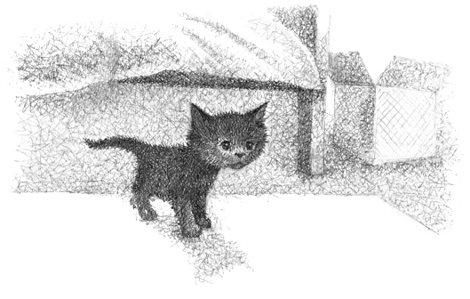 Иллюстрация к книге — Котёнок Клякса, или Загадка привидения [i_012.jpg]