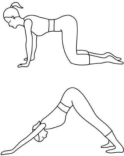 Иллюстрация к книге — Всем спать! Как наладить сон и улучшить качество жизни [i_026.jpg]