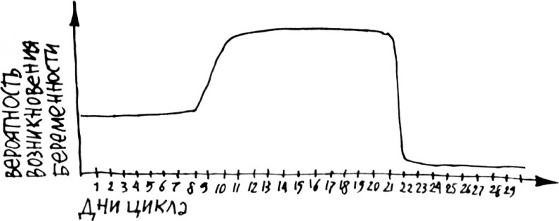Иллюстрация к книге — 1000 вопросов и ответов по гинекологии [_34.jpg]