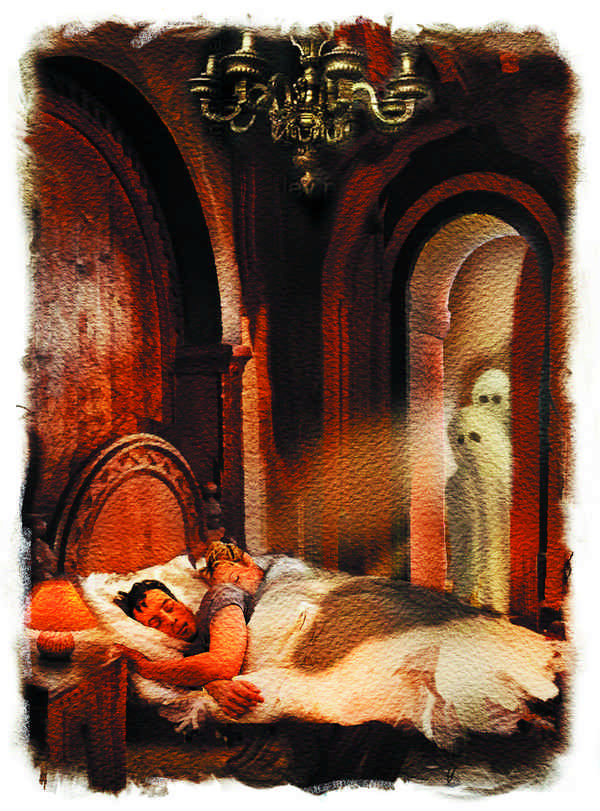 Иллюстрация к книге — Тайна Английского замка. Часть 1 [i_043.jpg]