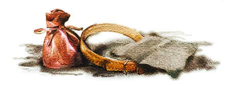 Иллюстрация к книге — Тайна Английского замка. Часть 1 [i_066.jpg]