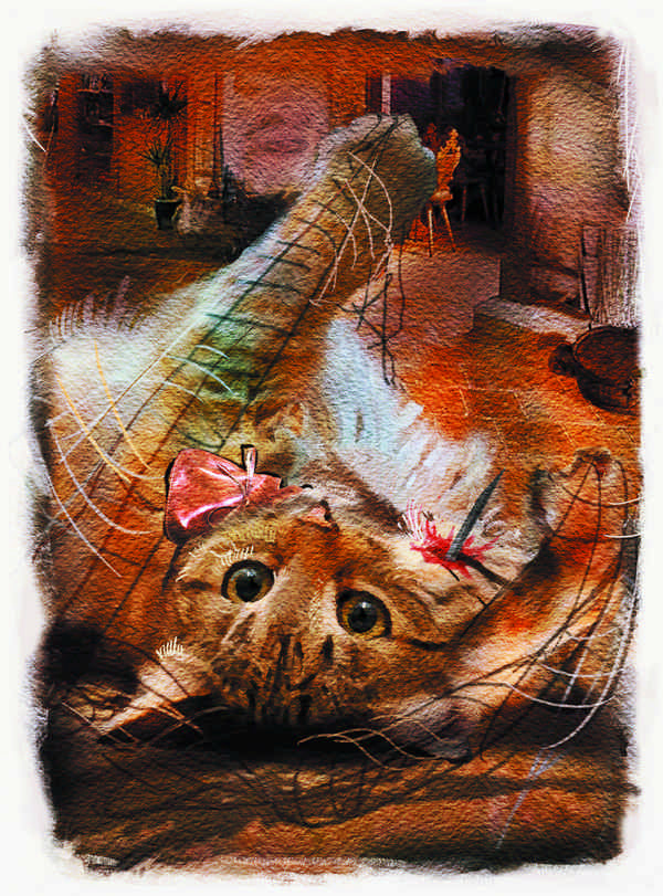 Иллюстрация к книге — Тайна Английского замка. Часть 1 [i_067.jpg]