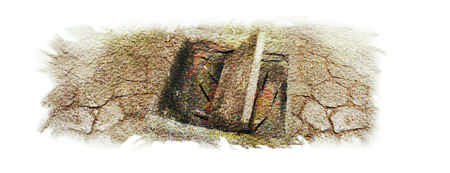 Иллюстрация к книге — Тайна Английского замка. Часть 1 [i_080.jpg]