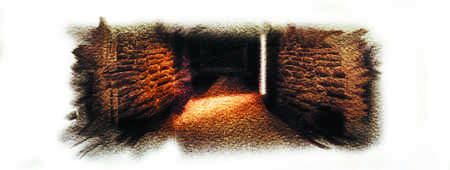 Иллюстрация к книге — Тайна Английского замка. Часть 2 [i_005.jpg]