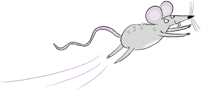 Иллюстрация к книге — Сокровища похищенной мумии [i_107.jpg]