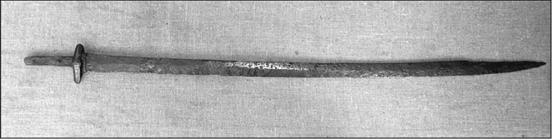 Иллюстрация к книге — Тайны хазар и русичей. Сенсации, факты, открытия [i_016.jpg]