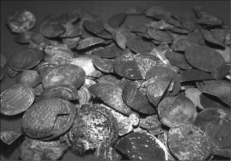 Иллюстрация к книге — Тайны хазар и русичей. Сенсации, факты, открытия [i_019.jpg]