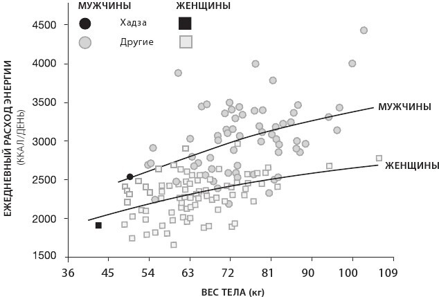 Иллюстрация к книге — Sapiens на диете. Всемирная история похудения, или Антропологический взгляд на метаболизм [i_014.jpg]