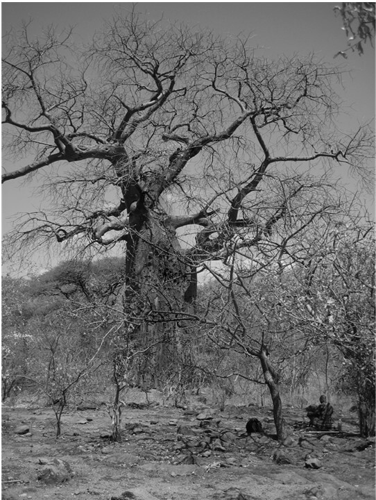 Иллюстрация к книге — Sapiens на диете. Всемирная история похудения, или Антропологический взгляд на метаболизм [i_017.jpg]