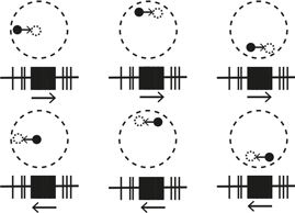 Иллюстрация к книге — Как мы видим? Нейробиология зрительного восприятия [i_014.jpg]