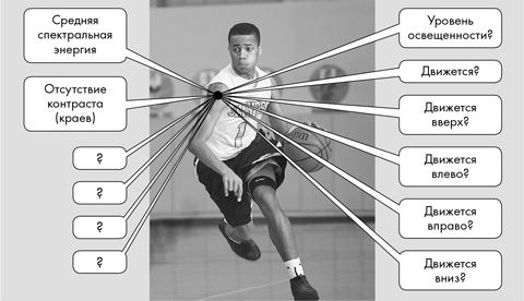 Иллюстрация к книге — Как мы видим? Нейробиология зрительного восприятия [i_017.jpg]