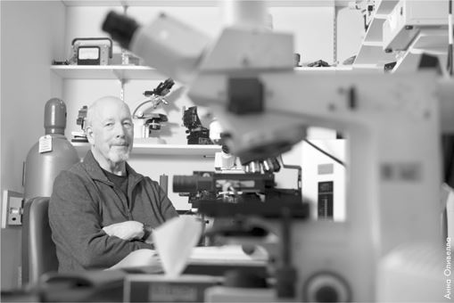 Иллюстрация к книге — Как мы видим? Нейробиология зрительного восприятия [i_044.jpg]