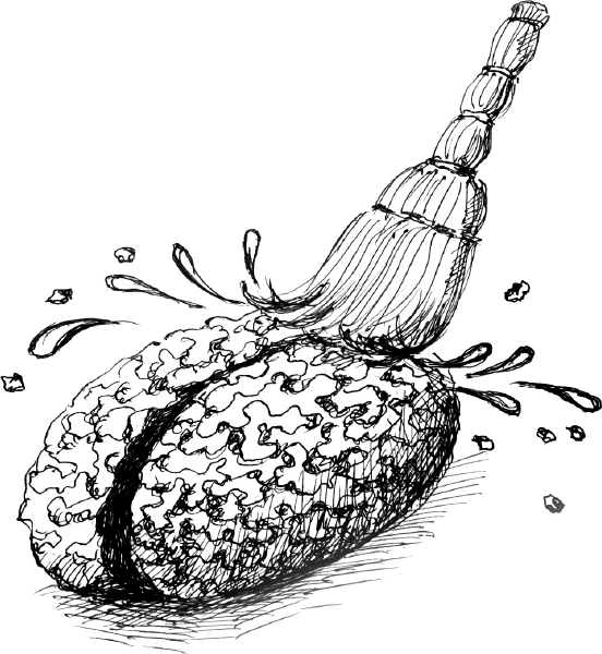 Иллюстрация к книге — Матрица стройности. Как худеть, ни в чем себе не отказывая [i_011.jpg]