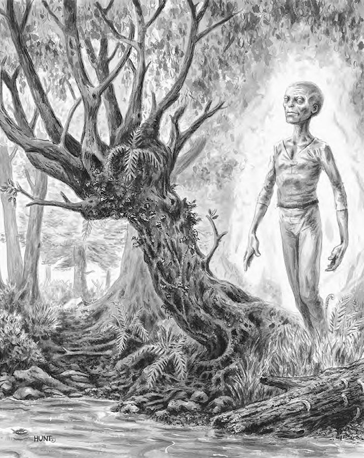 Иллюстрация к книге — Монстры: руководство для исследователя магических существ [i_014.jpg]