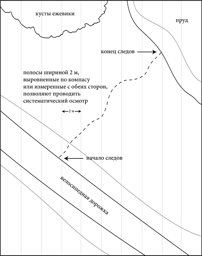 Иллюстрация к книге — Монстры: руководство для исследователя магических существ [i_027.jpg]