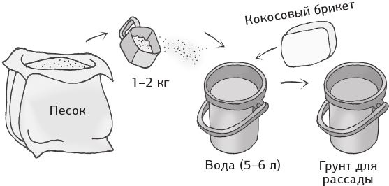 Иллюстрация к книге — Как вырастить свою рассаду и разбить правильные грядки [i_010.jpg]