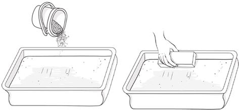 Иллюстрация к книге — Как вырастить свою рассаду и разбить правильные грядки [i_011.jpg]