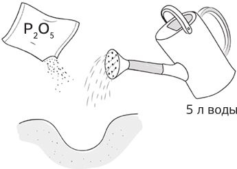 Иллюстрация к книге — Как вырастить свою рассаду и разбить правильные грядки [i_018.jpg]