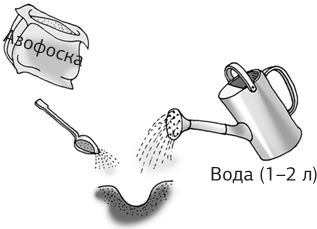 Иллюстрация к книге — Как вырастить свою рассаду и разбить правильные грядки [i_029.jpg]